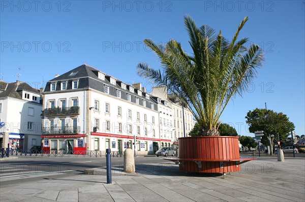 France, Bretagne, Finistere sud, Cornouaille, Concarneau, quai peneroff, palmiers en pot, promenade, bord du port, centre ville, immeuble, l'amiral,