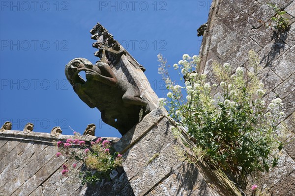 France, Bretagne, Finistere, rade de brest, presqu'ile de crozon, canal de nantes a brest, le faou, village, petite cite de caractere, eglise saint sauveur, gargouille,