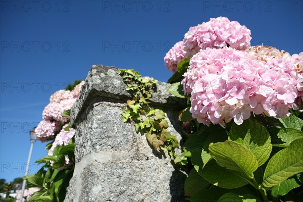 France, douarnenez