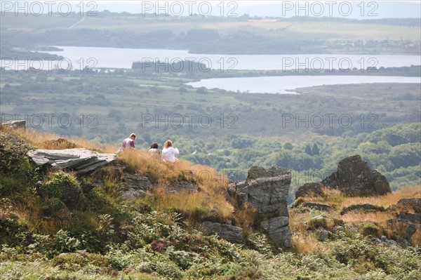 France, Bretagne, Finistere, monts d'arree, au sommet du roc'h trevezel, point culminant a 364 metres, paysage, rochers, lande sauvage,