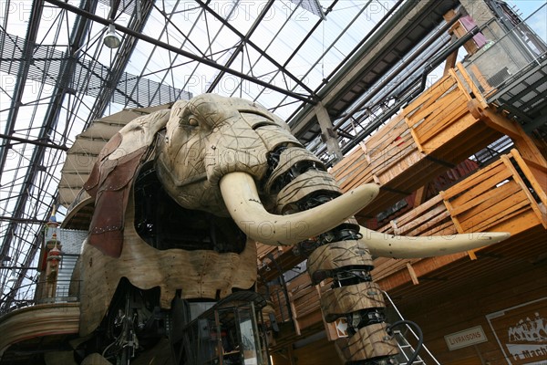 France, pays de loire, loire atlantique, Nantes, ile beaulieu, ile de nantes, les machines de l'ile, le grand elephant, promenade en ville, insolite,