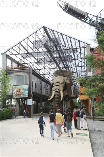 France, pays de loire, loire atlantique, Nantes, ile beaulieu, ile de nantes, les machines de l'ile, le grand elephant, promenade en ville, insolite, touristes,