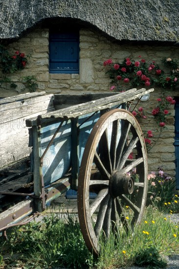 France, regional natural park of briere