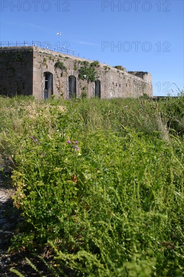 France, cotentin