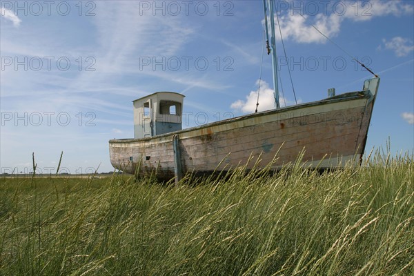 France, Basse Normandie, Manche, regneville sur mer, havre de regneville, maree basse, sable, bateaux echoues, herbes hautes, vieux chalutier,