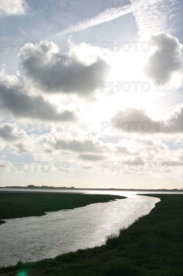 France, Basse Normandie, Manche, regneville sur mer, havre de regneville, ciel nuageux, cours d'eau, maree haute,