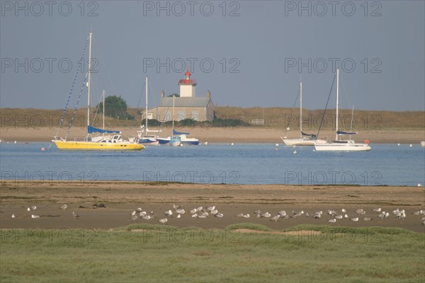 France, Basse Normandie, Manche, regneville sur mer, havre de regneville, bateaux echoues, face a la pointe d'Agon,