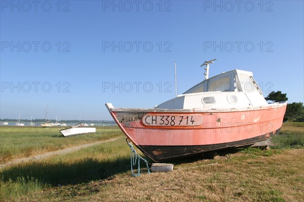 France, Basse Normandie, Manche, regneville sur mer, havre de regneville, bateaux echoues, 
face a la pointe d'Agon,