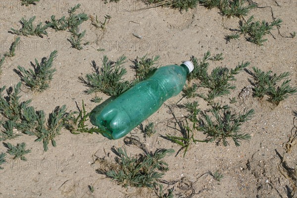 France, Basse Normandie, Manche, pays de coutances, paysage, panorama, pointe d'Agon, pollution dans le sable des dunes, bouteille en plastique, detritus, environnement,