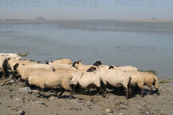 France, Land of the Mont Saint-Michel bay