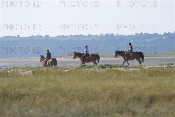 France, Basse Normandie, Manche, pays de la baie du Mont-Saint-Michel, 
le bec d'Andaine, chevaux a l'entrainement, dunes,