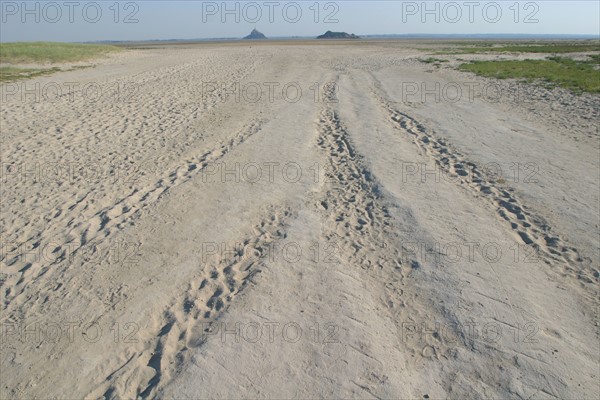 France, Basse Normandie, Manche, pays de la baie du Mont-Saint-Michel, 
le bec d'Andaine, traces de passage dans le sable, maree basse,