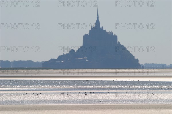 France, Basse Normandie, Manche, pays de la baie du Mont-Saint-Michel, 
le grouin du sud, panorama, maree basse, rochers,