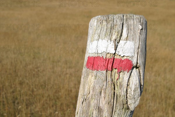 France, Basse Normandie, Manche, pays de la baie du Mont-Saint-Michel, 
le grouin du sud, marquage de chemin de grande randonnee sur un poteau de bois,