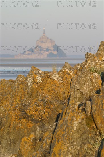 France, Basse Normandie, Manche, pays de la baie du Mont-Saint-Michel, 
le grouin du sud, panorama, maree basse, rochers,