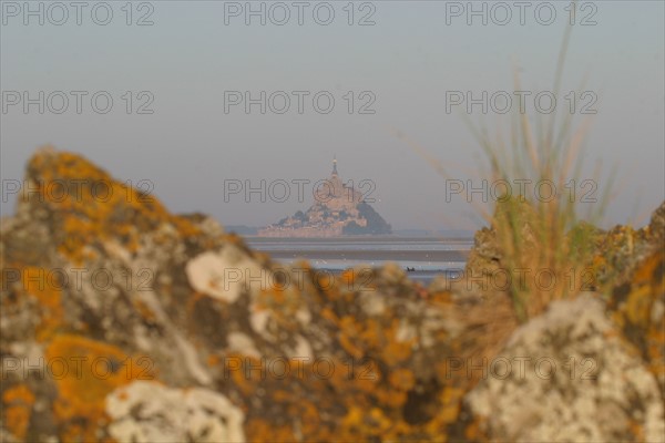 France, Basse Normandie, Manche, pays de la baie du Mont-Saint-Michel, 
le grouin du sud, panorama, maree basse, rochers,