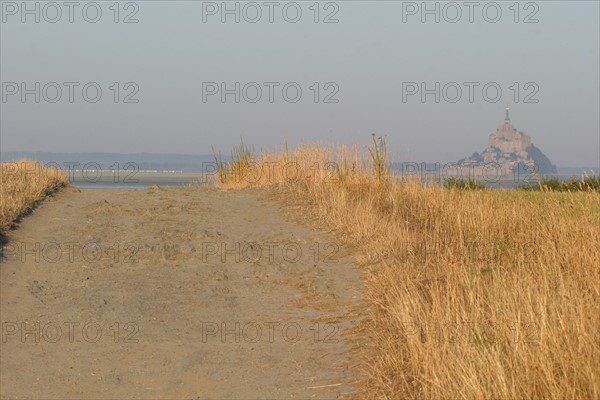 France, Basse Normandie, Manche, pays de la baie du Mont-Saint-Michel, 
le grouin du sud, chemin entre les herbes,