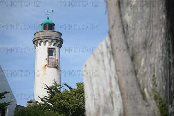 France, Bretagne, Morbihan, golfe du Morbihan, presqu'ile de rhuys, arzon, port navalo, promenade de la corniche, phare, tronc d'arbre,