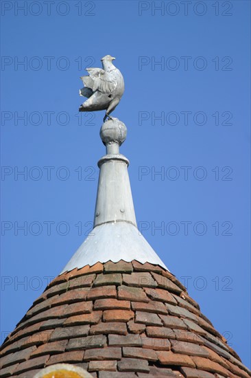 France, Basse Normandie, orne, perche, moulicent, manoir, detail sommet d'une tourelle, oiseau,