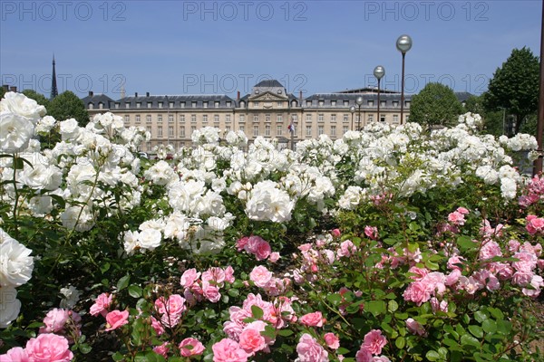 France, Haute Normandie, Seine Maritime, Rouen, hotel de region et jardins de la place, institution, administration, conseil regional, jardin, fleurs