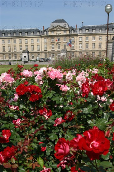 France, Haute Normandie, Seine Maritime, Rouen, hotel de region et jardins de la place, institution, administration, conseil regional, jardin, fleurs, rose, rosier