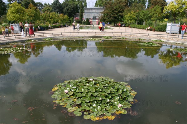 France, Haute Normandie, Seine Maritime, Rouen, rive gauche, jardin des plantes, fleurs, nature, jardin public, bassin, serre,