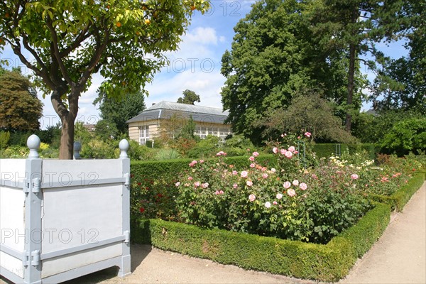 France, Haute Normandie, Seine Maritime, Rouen, rive gauche, jardin des plantes, fleurs, nature, ardin public,