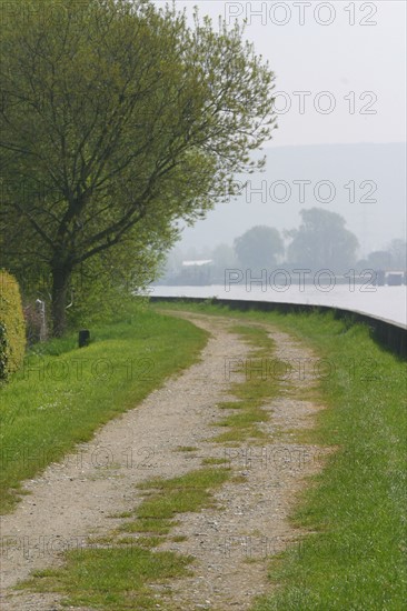 France, Haute Normandie, Seine Maritime, vallee de la Seine, sahurs, chemin de halage, berge du fleuve, arbres,