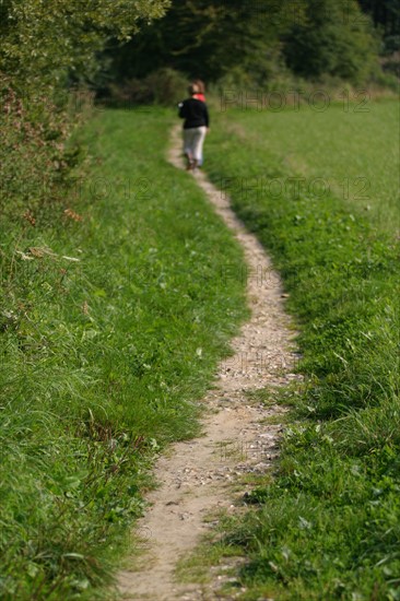 France, Haute Normandie, Seine Maritime, pays de la bresle maritime, chemin des etangs, herbe, etangs de la bresle, randonnee, 
incheville