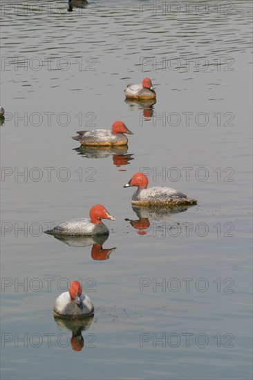 France, pays de la bresle maritime