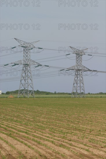 France, Haute Normandie, Seine Maritime, pays de Caux, Penly, pylones, lignes haute tension au depart de la centrale electronucleaire de Penly, energie, environnement, developpement durable,