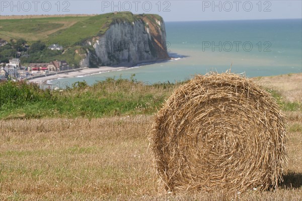 France, Haute Normandie, Seine Maritime, pays de Caux, veulettes sur mer, vue sur la plage et la falaise depuis les hauteurs de Paluel, roundballers, paille, agriculture,