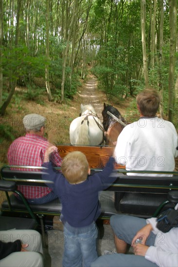 France, Haute Normandie, Seine Maritime, pays des hautes falaises, valleuse d'antifer, sortie nature attelee avec Cyriaque Lethuillier (defi Caux), cheval de trait, carriole, chemin, enfant,