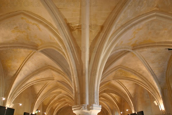 France, Haute Normandie, Seine Maritime, montivilliers, abbaye, coeur d'abbayes, refectoire gothique, salle d'expositions temporaires
voutes