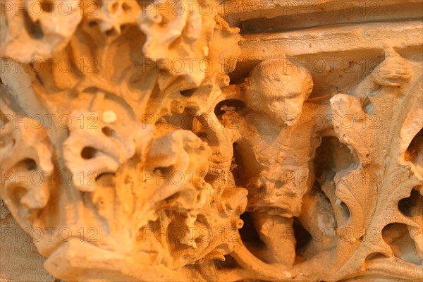 France, Haute Normandie, Seine Maritime, Rouen, palais de justice, tribunal, institution, monument historique restaure en 2007, neo gothique, detail d'ornement de la salle des procureurs, detail d'un chapiteau avec singe