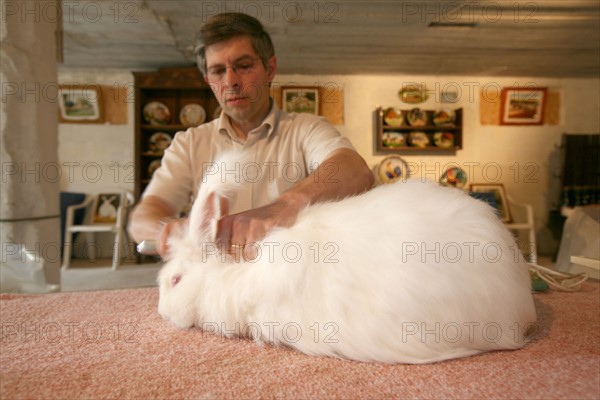 France, Haute Normandie, Seine Maritime, pays de Caux, le catellier, elevage de lapins angora, la ferme du chaud lapin M Lepecqueur, laine, lapin angora,