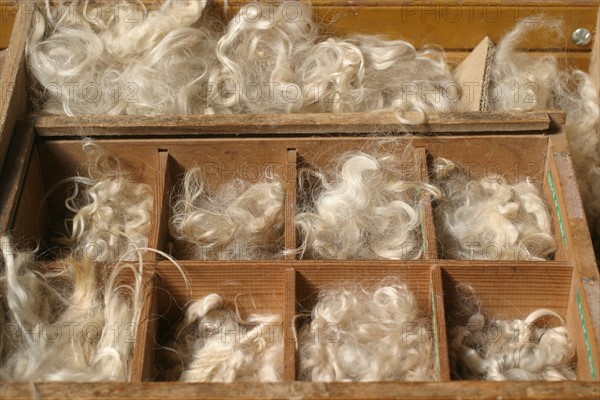 France, Haute Normandie, Seine Maritime, pays de Caux, saint crespin, elevage de chevres angora, mohair, 
manoir du camp