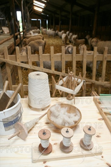 France, Haute Normandie, Seine Maritime, pays de Caux, saint crespin, elevage de chevres angora, mohair, pelotes et tricotage, manoir du camp