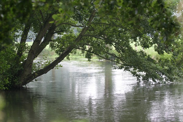 France, Haute Normandie, Seine Maritime, pays de la bresle maritime, entre la bresle et le chemin des etangs a Incheville, ruisseau, vegetation,