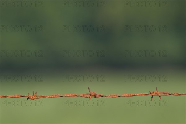 France, Haute Normandie, Seine Maritime, fil de fer barbele, cloture,