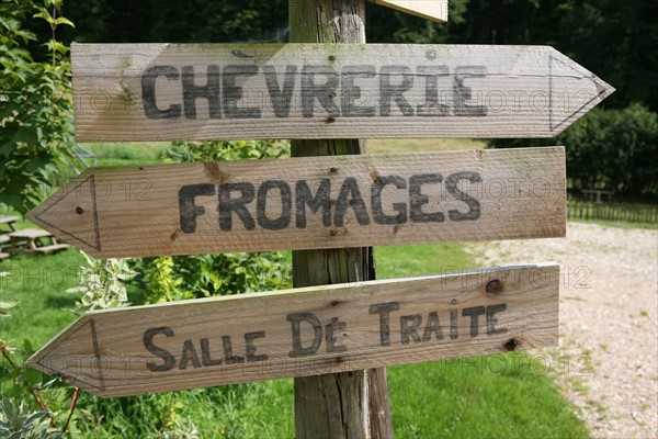 France, Haute Normandie, Seine Maritime, pays de bray, bellencombre, ferme du val de bures, elevage de chevres, agriculture biologique, reseau bienvenue a la ferme, famille Bazin