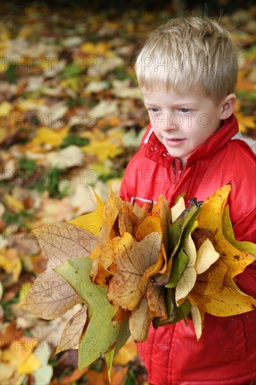 France, Haute Normandie, Seine Maritime, pays de bray, les ventes saint remy, feuilles d'automne au jardin du roi de rome, enfant en faisant un bouquet, personnage ok,