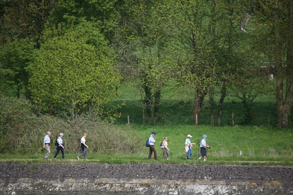 France, Haute Normandie, Seine Maritime, vallee de la Seine, henouville, (pres de duclair, randonneurs sur les berges du fleuve, chemin de halage, promenade seniors,