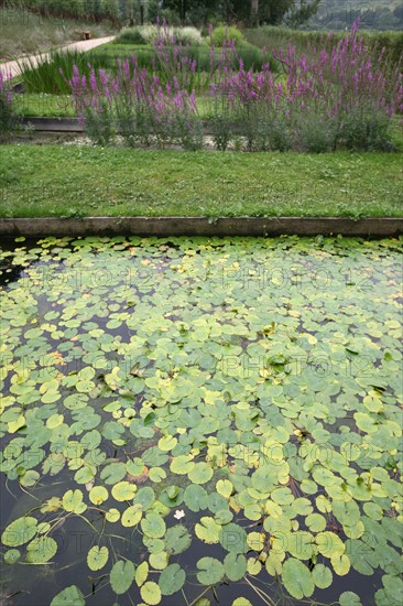 France, Haute Normandie, Seine Maritime, vallee de la Seine, gruchet le valasse, parc EANA, consacre au developpement durable, environnement, bassin d'epuration naturelle,