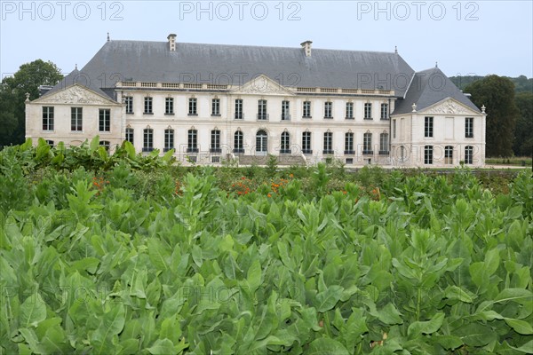 France, Haute Normandie, Seine Maritime, vallee de la Seine, gruchet le valasse, parc EANA, consacre au developpement durable, environnement, ancienne abbaye, jardin,