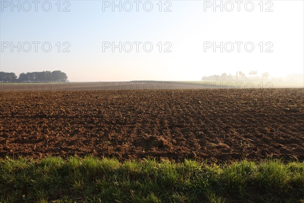 France, Haute Normandie, Seine Maritime, pays de Caux, valliquerville, agriculture, champ laboure,