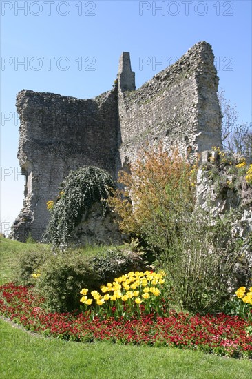 France, Basse Normandie, orne, domfront, vestiges du donjon, jardin,