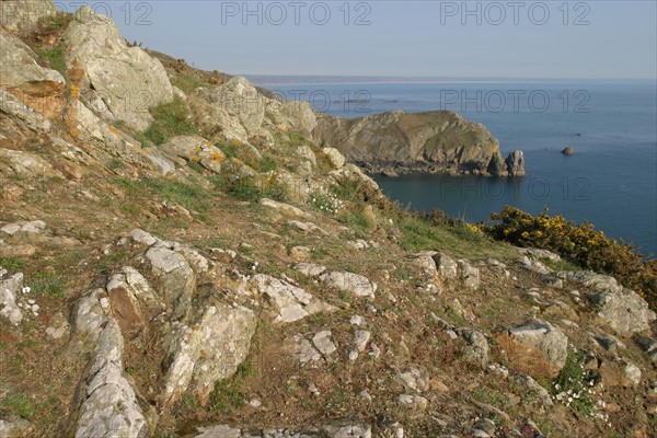 France, Basse Normandie, Manche, Cotentin, cap de la hague, nez de jobourg, falaise, pointe, lande, paysage, panorama,