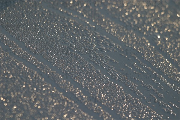 France, Basse Normandie, Manche, Cotentin, Cherbourg, port Chantereyne, detail, rosee matinale sur un bateau de plaisance