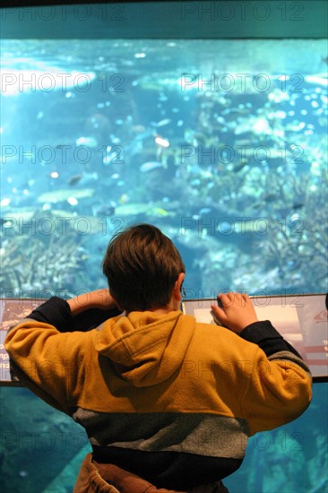 Cite de la Mer
aquarium recreant la faune d'une faille tropicale